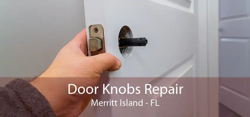 Door Knobs Repair Merritt Island - FL